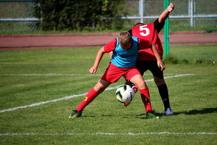 华体会-足球俱乐部建设标准发布 加强青训基地建设，足球俱乐部青训招生