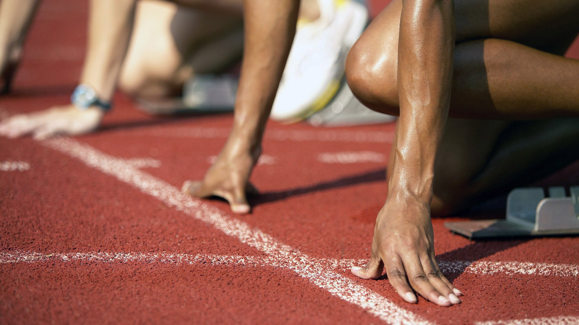 媒体关注樊振东状态回勇，期待持续爆发，樊振东 介绍