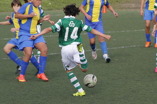 华体会体育hth-史诗级逆转战：从落后20分到胜利！，逆转结局是哪一套史诗